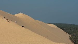 Liste des campings situés à proximité de la Dune du Pilat, offrant un cadre naturel exceptionnel pour les amoureux de la nature.